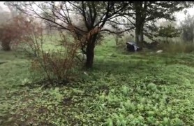 Imagini de la locul unde a fost găsit spânzurat bărbatul de 34 de ani